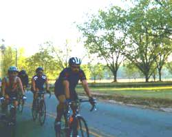 torsv6.jpg - 11202 Bytes